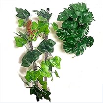 81C+VvisLmL._AC_UL210_SR210,